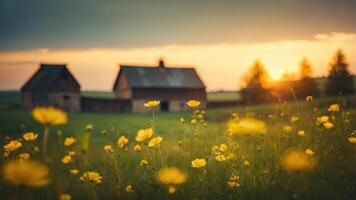 A serene sunset over a field of flowers with rustic barns in the background. photo