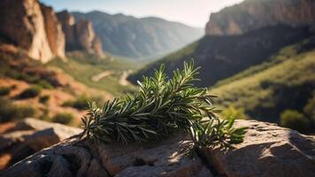 A sprig of rosemary rests on a rock, set against a scenic mountain landscape. photo