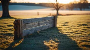 A rustic wooden bench in a tranquil field at sunrise, surrounded by nature. photo