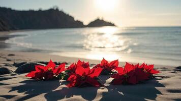 A serene beach scene featuring vibrant red poinsettias against a sunset backdrop. photo