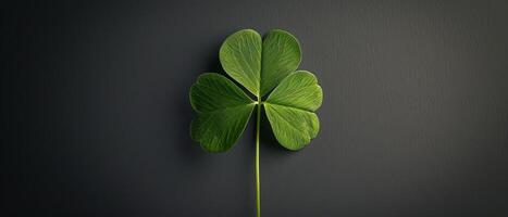 The image is a photograph of a four-leaf clover. The clover is in focus and has a dark background. The clover has four leaves, which is considered to be lucky. photo