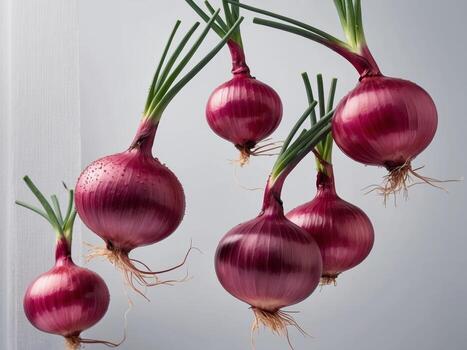 Fresco rojo cebollas flotante en ligero gris antecedentes foto