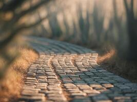 Cobblestone Pathway with Warm Golden Light - Abstract Background photo