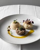 Gourmet Platter Featuring Mini Mushroom Risotto and Truffle Mashed Potatoes with Elegant Presentation photo