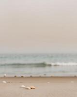 Serene Beach Scene with Soft Gradient Tones photo