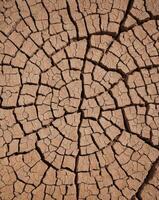 Dry Orange Cracked Soil Texture Background for Design and Art Projects photo