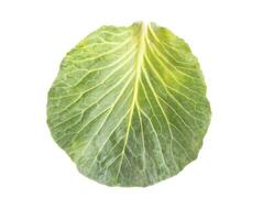 Green cabbage leaf on a white background, isolate, close-up. Vitamins photo