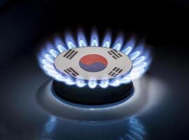 Burning gas burner of a home stove in the middle of which is the flag of the country of South Korea. Gas import and export delivery concept, price per cubic meter, transit, background photo