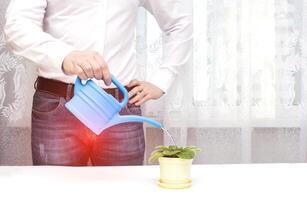 A male office worker is watering a flower from a watering can in the office, a red spot in the groin. The concept of prostate diseases in men, prostate cancer, prostatitis, urinary incontinence photo