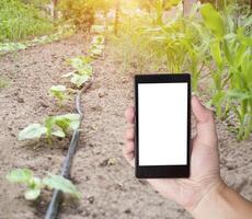 A man s hand holds a smartphone with a white screen, in the background of a garden with plants and modern smart watering. The concept of electronic smart watering system for time management photo