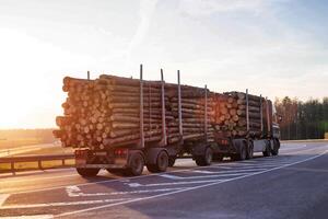 a timber truck carries logs along the road against the backdrop of a sunny sunset. Wood Export and Import Concept, industrial photo