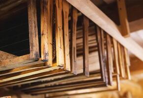 Bee frames with sealed combs and honey hang in the shed. Breeding bees, beekeeping, honey extraction, indusrty photo
