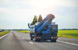 A truck manipulator with thuja trees is driving along the highway. The concept of a landscape design company. Copy space for text photo
