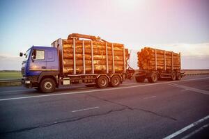 A blue logging truck transports round pine logs against the backdrop of sunset in the evening. Wood import and export concept. Logging as a business, industry photo