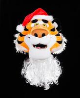 The head of a soft plush tiger in a red santa claus hat with a beard on a black background. Christmas and new year 2022 concept, festive december photo