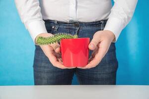 A male office worker holds a red pot with a cactus in his hands on a blue background. The concept of chronic diseases of the genital area in men working in the office. photo