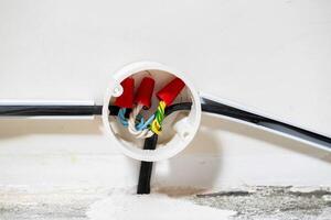 Connection of electrical wires in electrical boxes using red caps of connecting insulating clamps, close-up. Electrical installation photo
