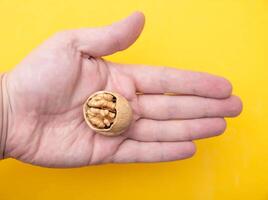 Walnut with a broken shell in the palm of a man on a yellow background, close-up. Concept of the benefits of nuts for the brain and thinking photo