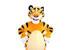 Man in a striped orange tiger costume posing on a white background, isolate. Holiday animator photo