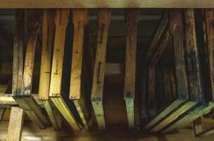 Bee frames with sealed combs and honey hang in the shed. Breeding bees, beekeeping, honey extraction, indusrty photo