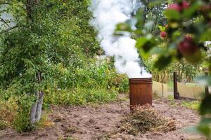 Burning dry grass and garbage in the country in the fall in an iron barrel. Penalty and fire hazard if weed is burned incorrectly. A lot of smoke photo