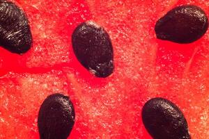 watermelon with stones macro, macro photography, melon photo