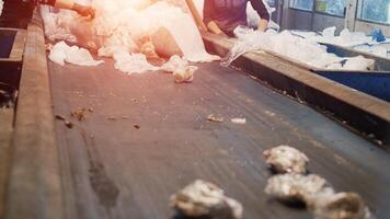 sorting and recycling of garbage, cellophane, workers sort garbage in a recycling plant, manufacturing photo