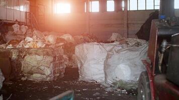 Work shop at the plant for processing and sorting garbage, cardboard and plastic, sun, conservation photo