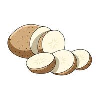 Raw Sliced Potatoes Illustration. depiction of fresh potato slices in a natural style. Perfect for food-themed designs, recipe illustrations, and healthy eating concepts. vector