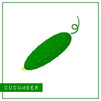 Bright memory training card with colorful vegetable. Flat design isolated green color cucumber or cuke with shine and shade. illustration for healthy nutrition poster or vegetables market sign vector