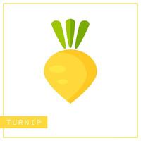 Bright memory training card with colorful vegetable. Flat design isolated yellow color turnip or rutabaga with shine and shade. illustration for healthy diet banner or school vitamin poster. vector