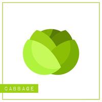 Bright memory training card with colorful vegetable. Flat design isolated green color savoy cabbage with shine and shade. illustration for healthy nutrition poster or vegetables market sign vector