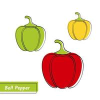 Flat design vegetable education card. illustration with solid green, red and yellow isolated bell peppers, black outline and label on white backdrop for kid game, memory test or eco market sign vector