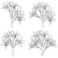 Set of lily bouquets in doodle style. illustration isolated on white background. vector