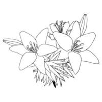 Bouquet of lilies in doodle style. Openwork illustration isolated on white background. vector