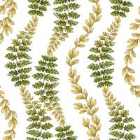 Fern leaves seamless pattern on white background. Hand drawn watercolor botanical surface with textured prehistoric foliage. Perfect for the use of ecological material and sustainable designs. vector