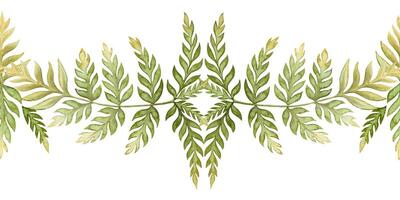 Fern leaves elegant seamless border in the earth green tone. Hand drawn watercolor botanical element with textured foliage. Perfect for the use of ecological material and sustainable designs. vector