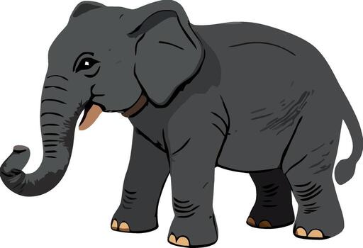 An elephant is standing in front of a white background vector