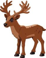 A cartoon deer standing on a white background vector