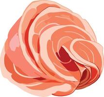 A pink rose is shown in this illustration vector