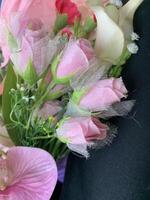 Picture of red and pink rose petals blooming , beautiful flower and authentic fragrance for wedding or valentine colorful bouquet, selective focus. photo