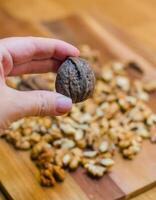 Hand Holding a Whole Walnut with Shelled Walnuts in the Background. High quality photo