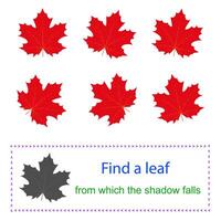 Educational game for kids. Task for attentiveness. Find a leaf from which the shadow falls. vector