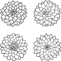 Decorative Flower Line Art Coloring Page Illustration vector