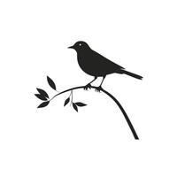 Bird silhouette on branch with leaves vector