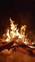 Fire Flames in Motion Captured in High Quality video