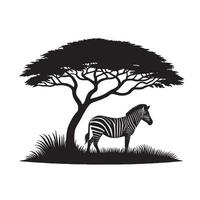 silhouette of zebra under tree in field of savannah vector