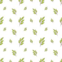 Branch with green leaves seamless pattern. illustration for print, textile, wrapping paper, background, wallpaper. vector