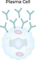 Plasma Cell Science Design Illustration Diagram vector