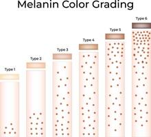 Melanin Color Grading Science Design Illustration Diagram vector